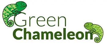 A tournament to remember for girls football! 19 Green Chameleon